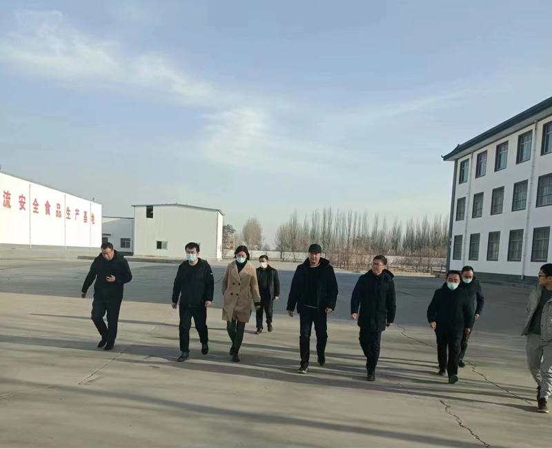 石嘴山市副市長(zhǎng)、惠農(nóng)區(qū)委書記王宇翔蒞臨寧夏興康恒潤(rùn)農(nóng)業(yè)科技發(fā)展有限公司調(diào)研