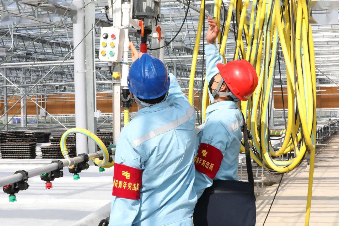 草海機(jī)場(chǎng)最新動(dòng)態(tài)揭秘，建設(shè)進(jìn)展、航班信息及未來展望