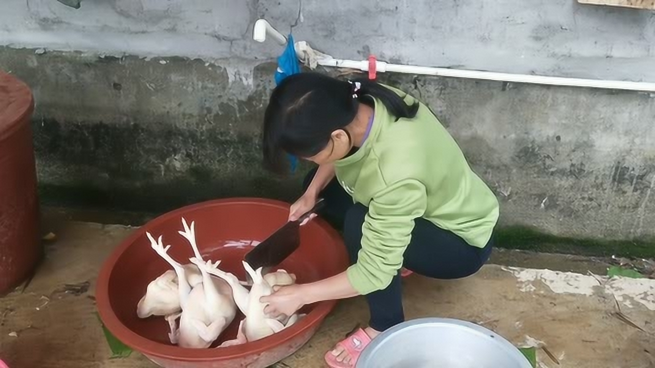 關(guān)于阿梅殺雞視頻的理性分析與網(wǎng)絡(luò)倫理道德探討，警惕涉黃內(nèi)容侵蝕社會倫理底線。