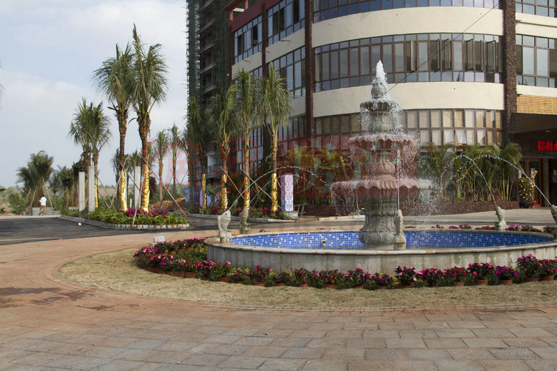 棕櫚水城最新動態(tài)，塑造理想生活新標桿！