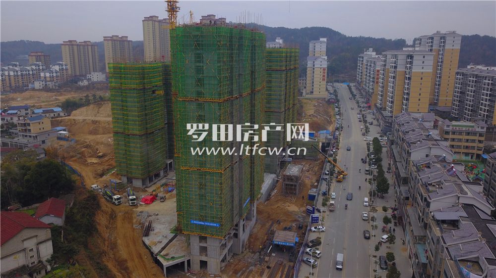 羅田最新房價揭秘，洞悉市場動態(tài)，掌握房價走勢！