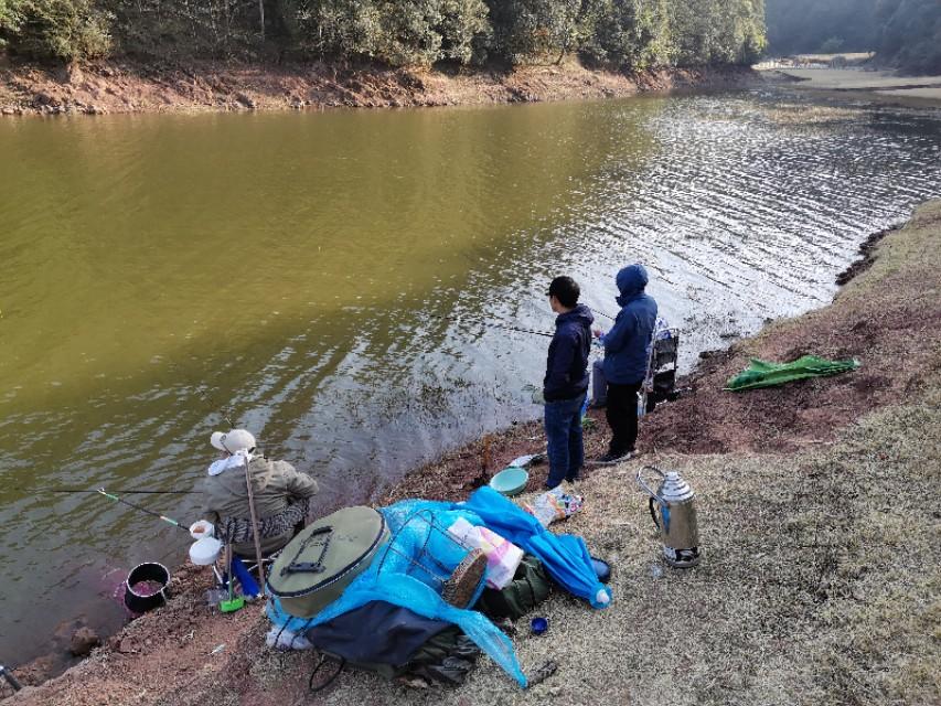 最新水庫釣魚視頻，探索釣魚樂趣與技巧全攻略