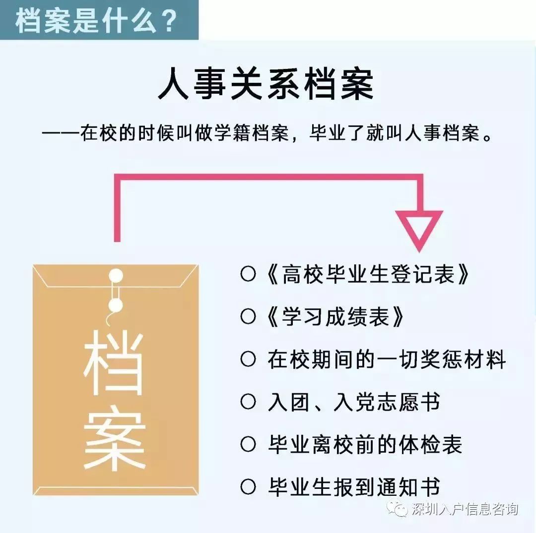 檔案人員補(bǔ)貼最新觀點(diǎn)論述，探討補(bǔ)貼政策與檔案人員發(fā)展的關(guān)系