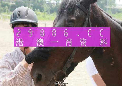 今晚澳門必中一肖一碼適囗務(wù)目,快速產(chǎn)出解決方案_CUJ27.619輕奢版