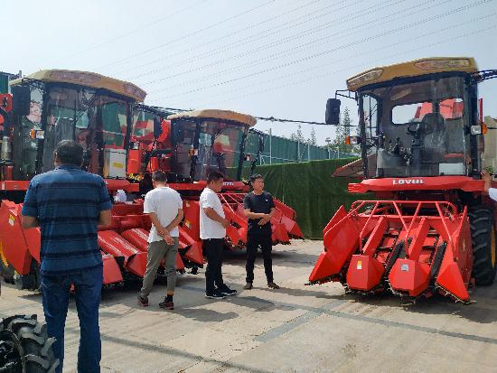 邳州玉米最新價(jià)格，時(shí)代見證下的市場(chǎng)動(dòng)態(tài)