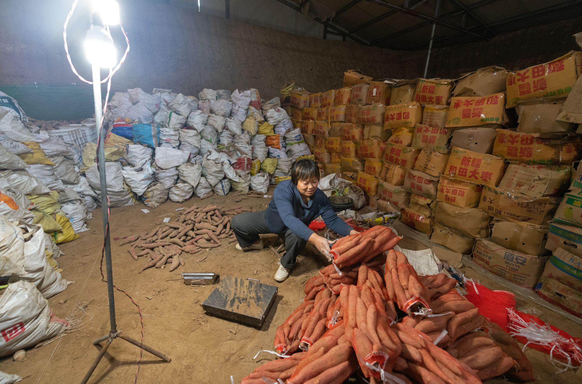時代背景下的夏津地瓜最新市場價格觀察