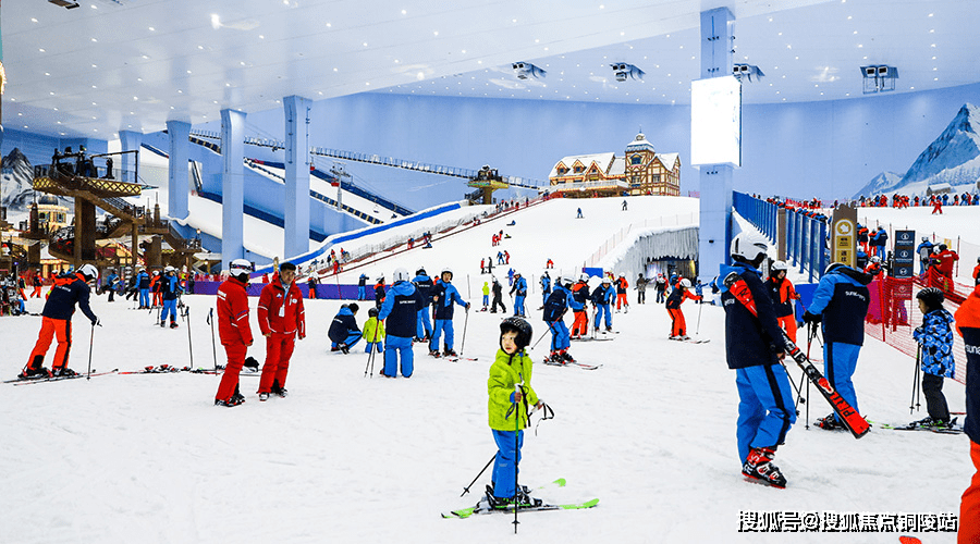 2024六何彩生肖圖開獎結果查詢,科學依據(jù)解析_XOJ83.285溫馨版