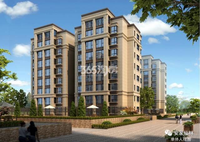 銀城東岳府最新動態(tài)分析揭秘,最新消息與進展