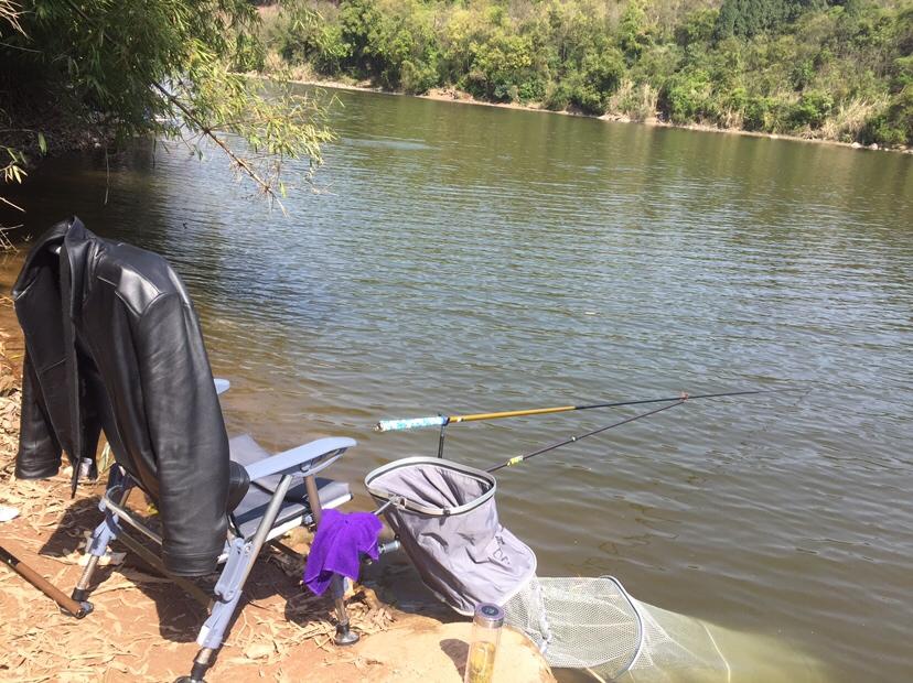 山門寺水庫(kù)釣魚最新指南，垂釣攻略與技巧分享