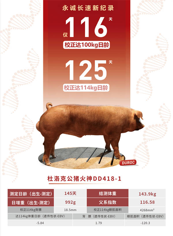 香港二四六最快開獎(jiǎng),專業(yè)解讀操行解決_HMG83.231光輝版