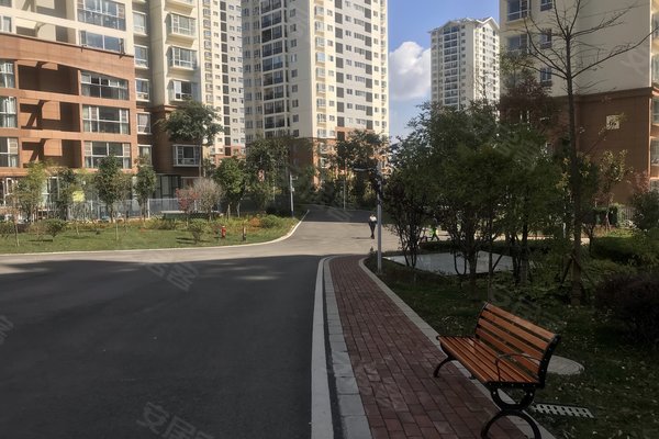 建禮家園最新動態(tài)，小巷中的隱藏瑰寶揭秘