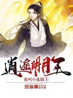 時(shí)代之光下的璀璨篇章，明月珰最新連載熱議熱議熱議！