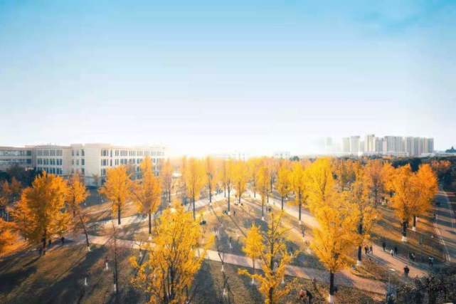 新澳2024今晚開獎資料澳門正版圖,科學(xué)解釋分析_KCD85.482定義版