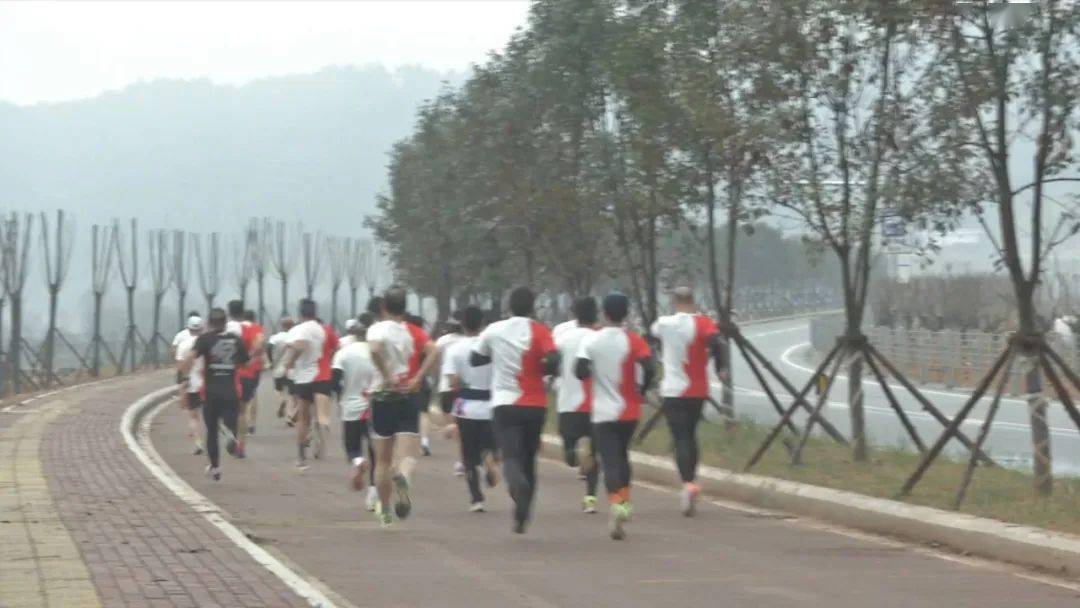 古田環(huán)湖路最新動態(tài)揭秘，時代脈搏與城市發(fā)展的融合之路