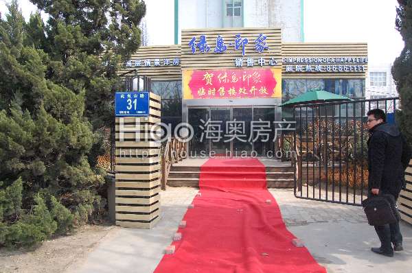 青島大洋花園最新動(dòng)態(tài)，科技重塑未來(lái)花園的極致體驗(yàn)