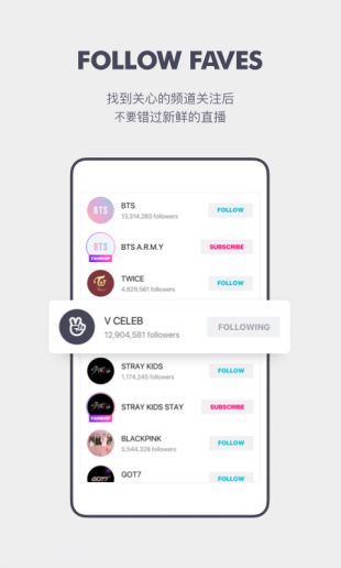 VAPP最新版下載，觀點(diǎn)論述與獲取渠道