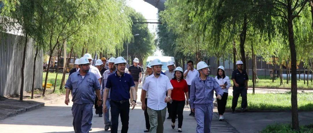 最新鍋爐工招聘信息揭秘，鍋爐工的溫馨日常故事探索