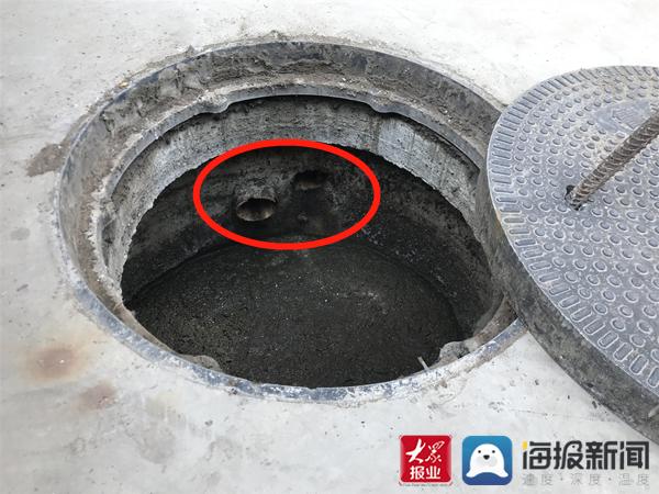 福建臺幫幫團(tuán)最新一期揭秘，小巷深處的隱藏美食瑰寶