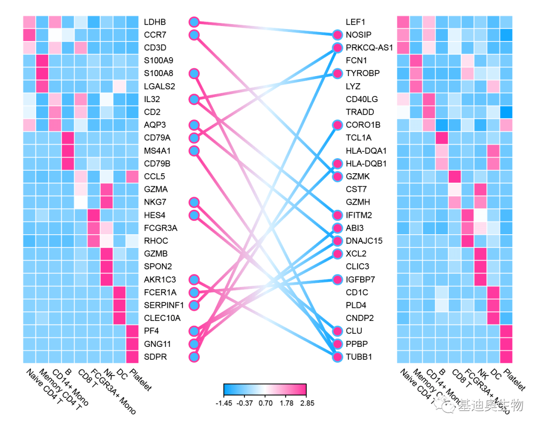 2024新澳門天天彩期期精準(zhǔn),高效性設(shè)計(jì)規(guī)劃_云端版11.924
