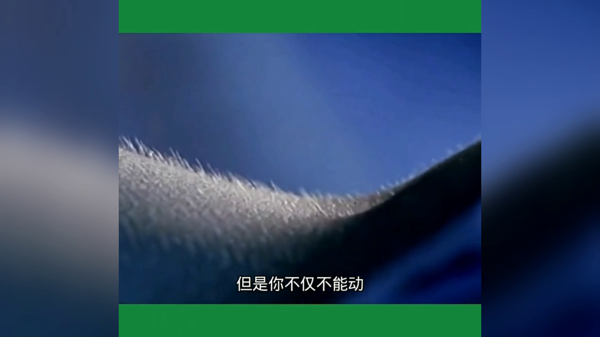 新澳門最精準(zhǔn)正最精準(zhǔn),科學(xué)分析解釋說明_桌面款98.781