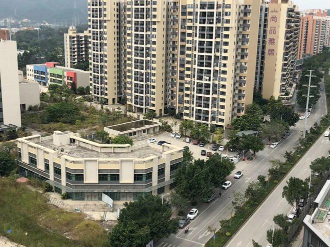 膠南山水雅居最新動(dòng)態(tài)，鄰里日常趣事與情感紐帶分享