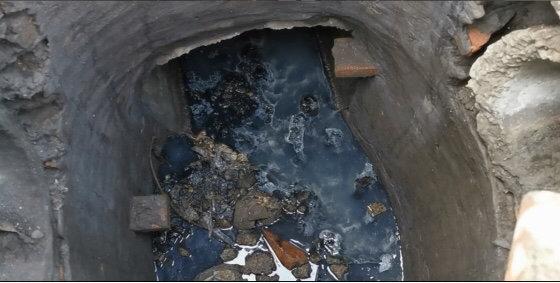 遂寧市電子廠最新招聘，與自然共舞，探尋內(nèi)心寧?kù)o之旅