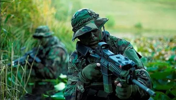 特種部隊(duì)小組最新版本，時(shí)代背景下的英勇先鋒