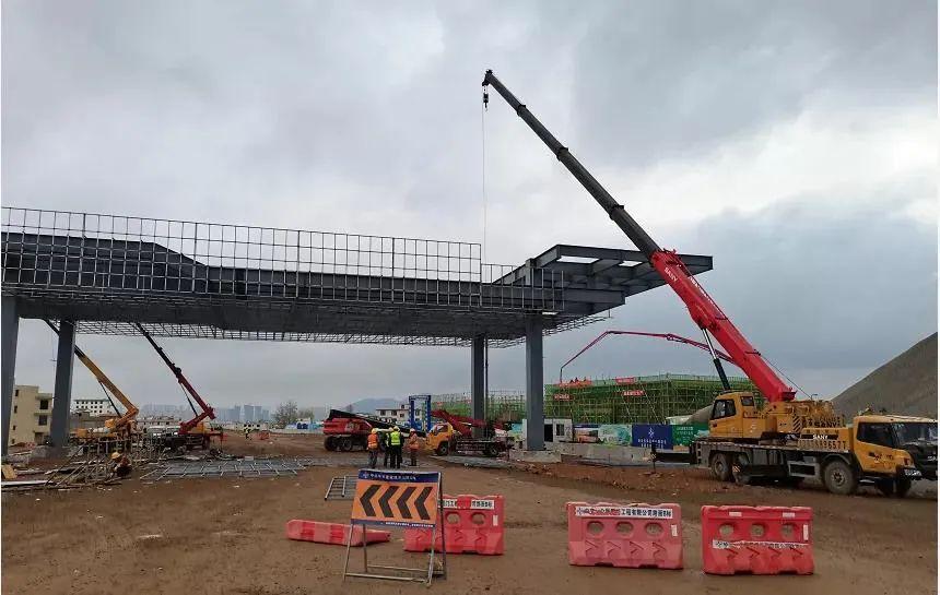 深度解析與探討，最新元龍劇情分析