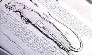 美國(guó)填尸最新進(jìn)展，高科技重塑生活，未來(lái)科技魅力體驗(yàn)