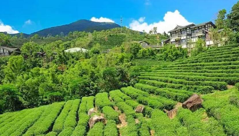 深圳驚喜活動溫情之旅，日常中的特別瞬間