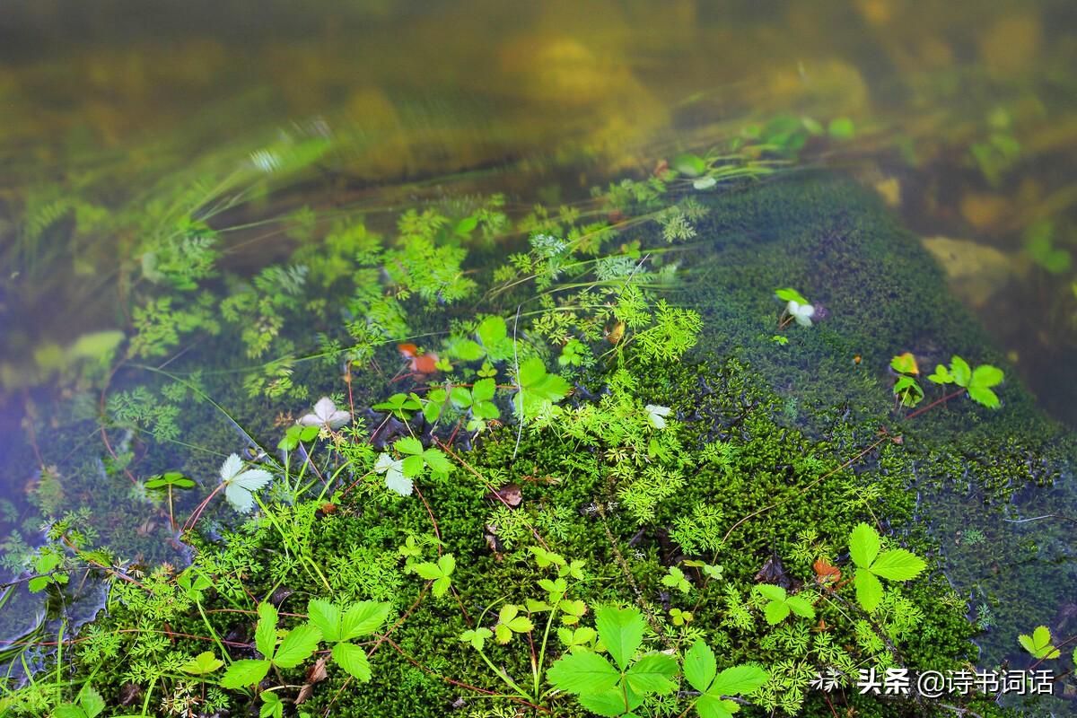 南山高樓崛起，背景、發(fā)展與時(shí)代地位全景解析