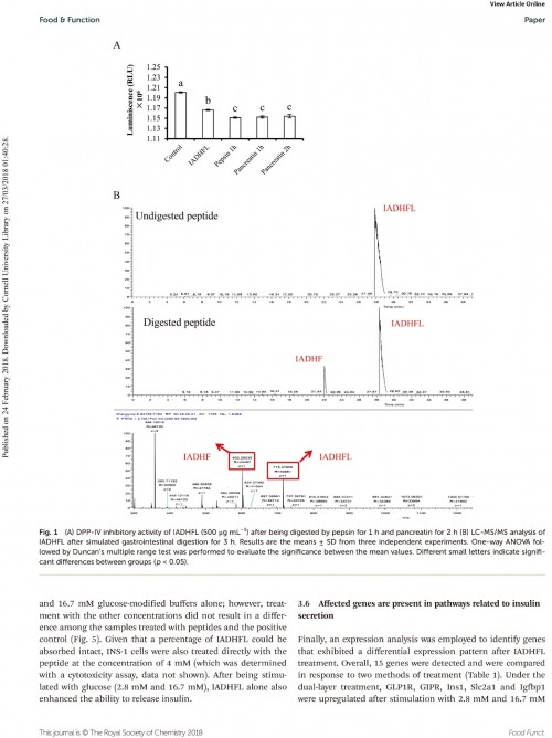 糖肽最新文獻(xiàn)，自然之旅的心靈探尋之旅，尋找內(nèi)心的寧靜