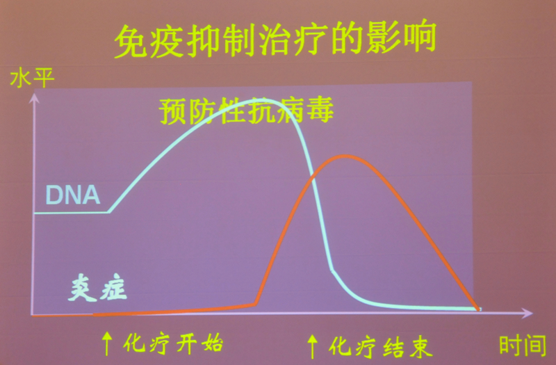 肝炎新進(jìn)展揭秘，小巷深處的秘密小店探索