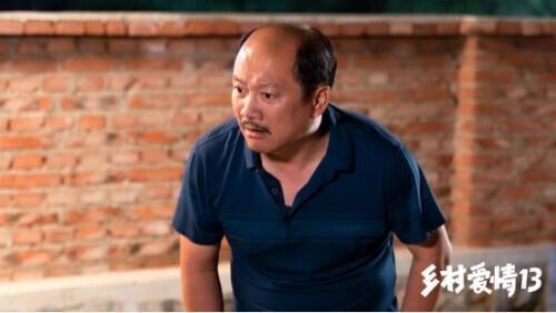 當(dāng)代鄉(xiāng)土風(fēng)情歡樂呈現(xiàn)，最新鄉(xiāng)村喜劇劇集