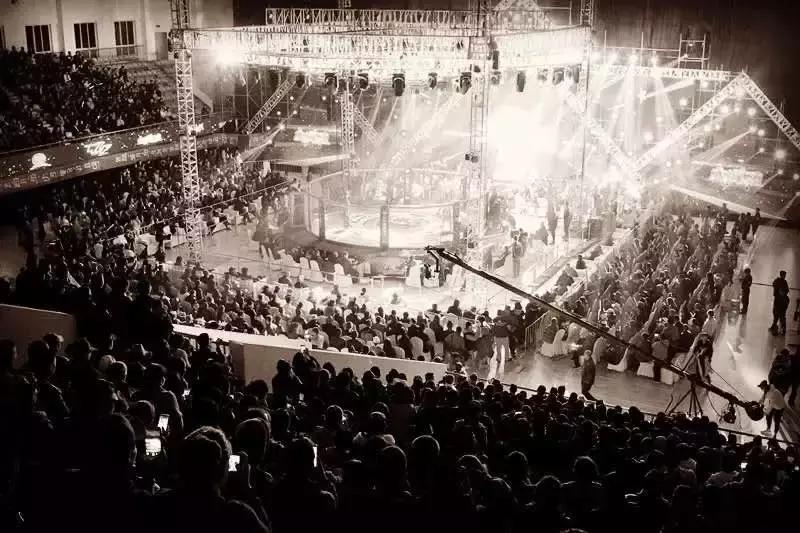 武林籠中對最新一期，自然美景中的對決與內(nèi)心平靜之旅