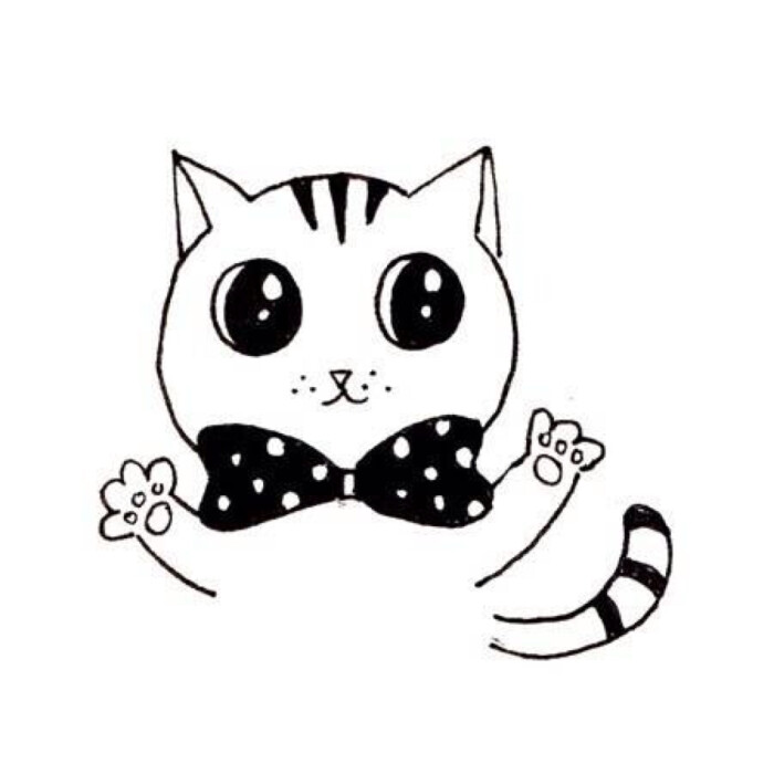 喵咪動漫，初學(xué)者與進階用戶的技能學(xué)習(xí)指南