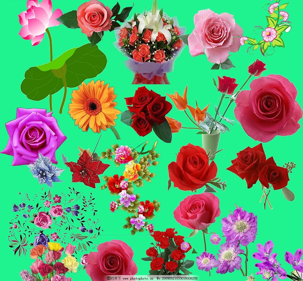 最新花款下載，愛(ài)與陪伴的溫馨之旅