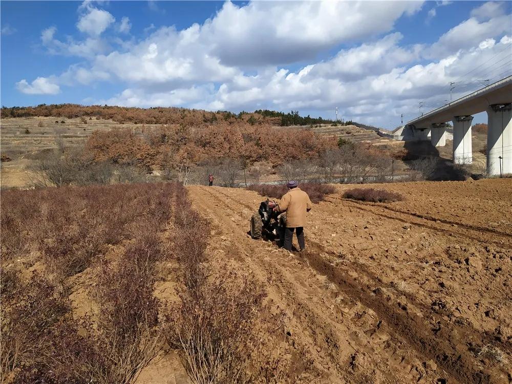 揭秘衡陽張家山規(guī)劃更新，小巷風情與隱藏小店的獨特魅力