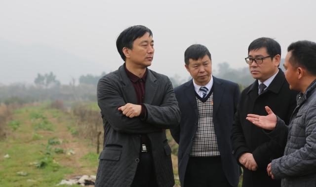 錦富技術最新動態(tài)更新，最新消息匯總