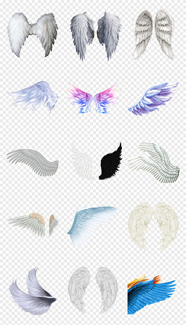 動漫翅膀繪制指南，從白紙起步，繪出飛翔的勵志翅膀！