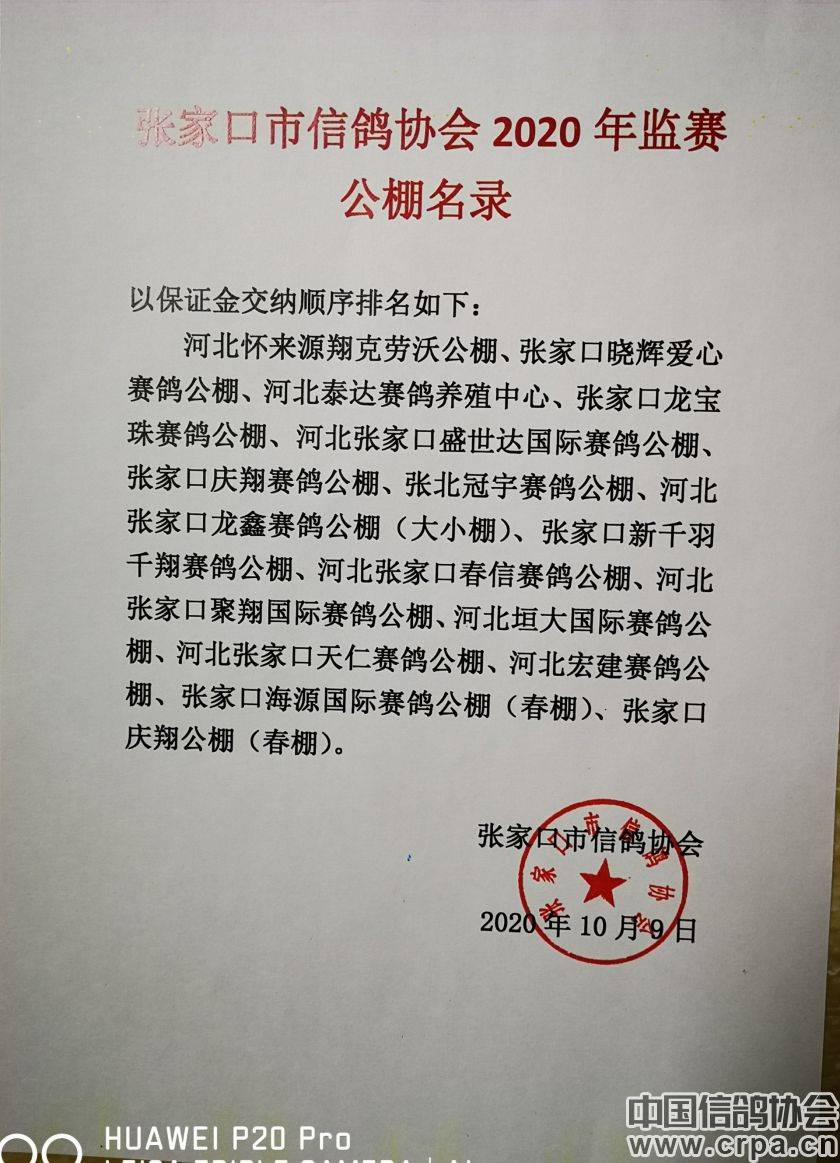 東光信鴿協(xié)會最新通告，小巷深處的獨特風(fēng)味揭秘與信鴿活動更新通知