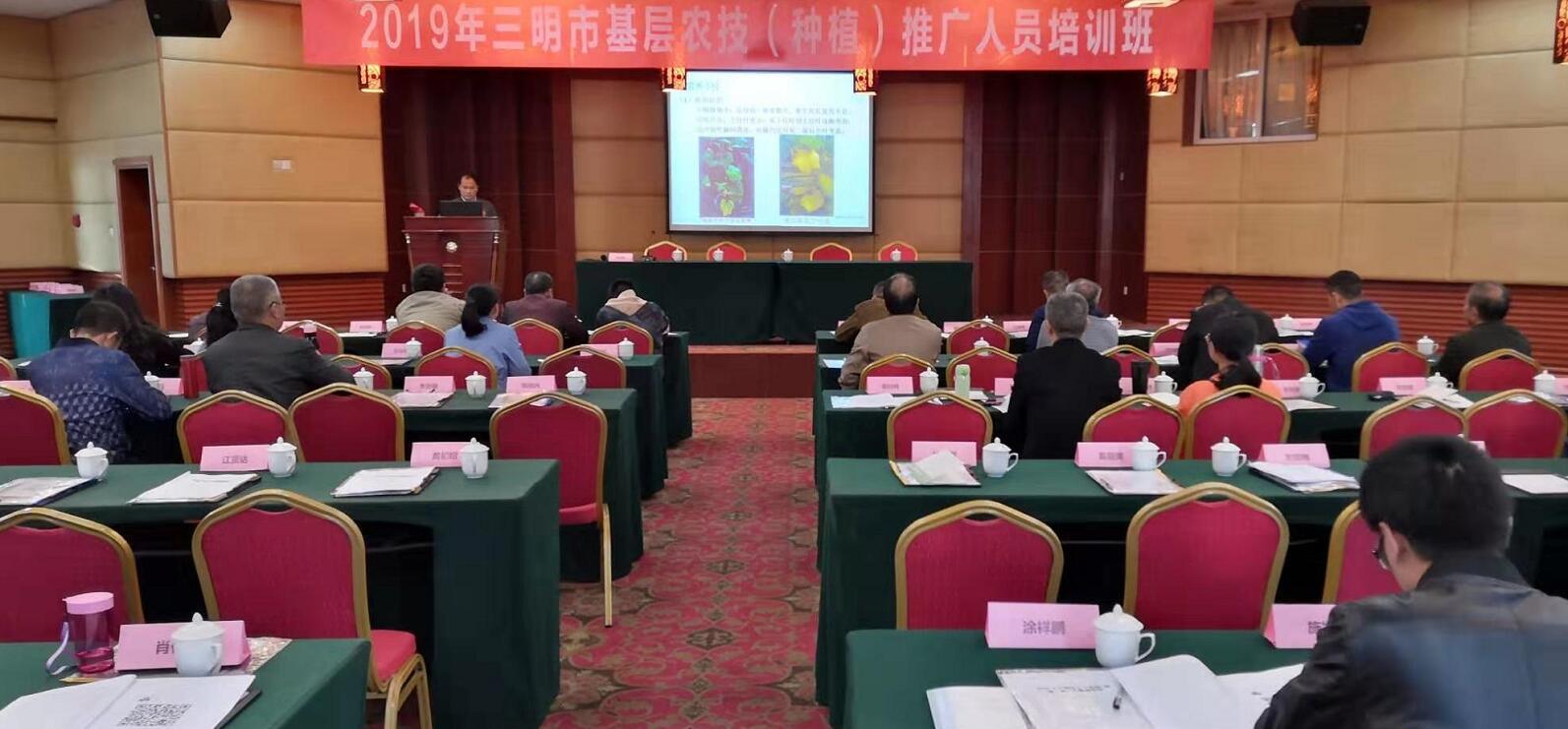 豇豆最新，廚房中的友情與家的溫馨