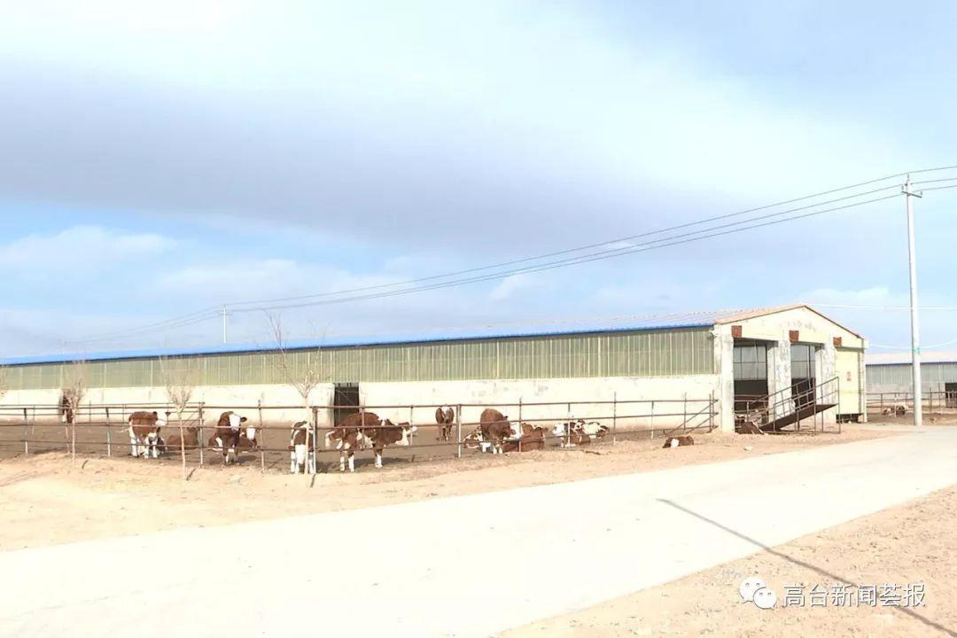 最新養(yǎng)殖場建設(shè)政策解讀，探索之旅啟程