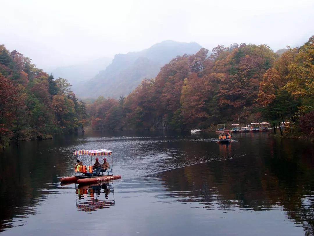 心動瞬間，愛情與生活的美妙交匯