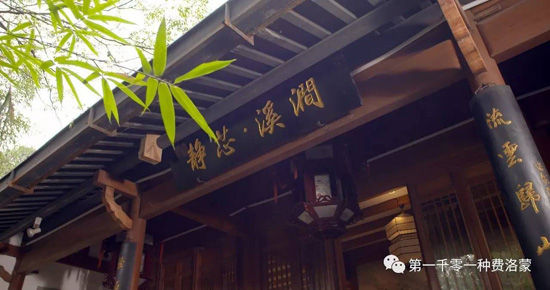 高密西湖茶樓最新資訊，一壺茶，品味溫情時光