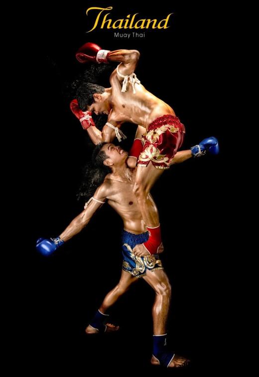 運動場館燈具 第186頁