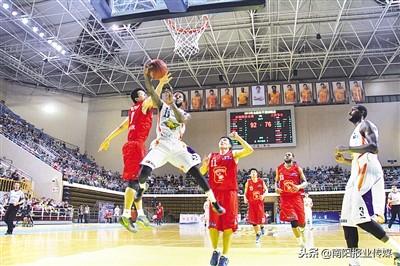 南陽市區(qū)面積最新數(shù)據(jù)解析及概況