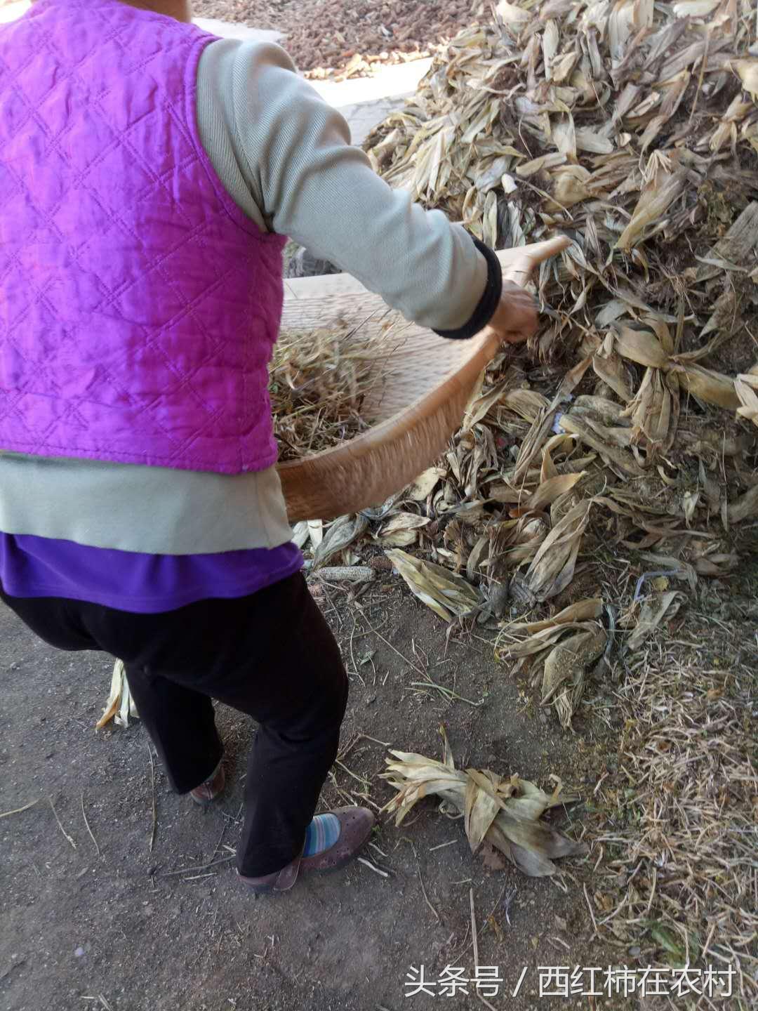 彬縣撤縣設(shè)區(qū)最新進(jìn)展，最新動(dòng)態(tài)更新