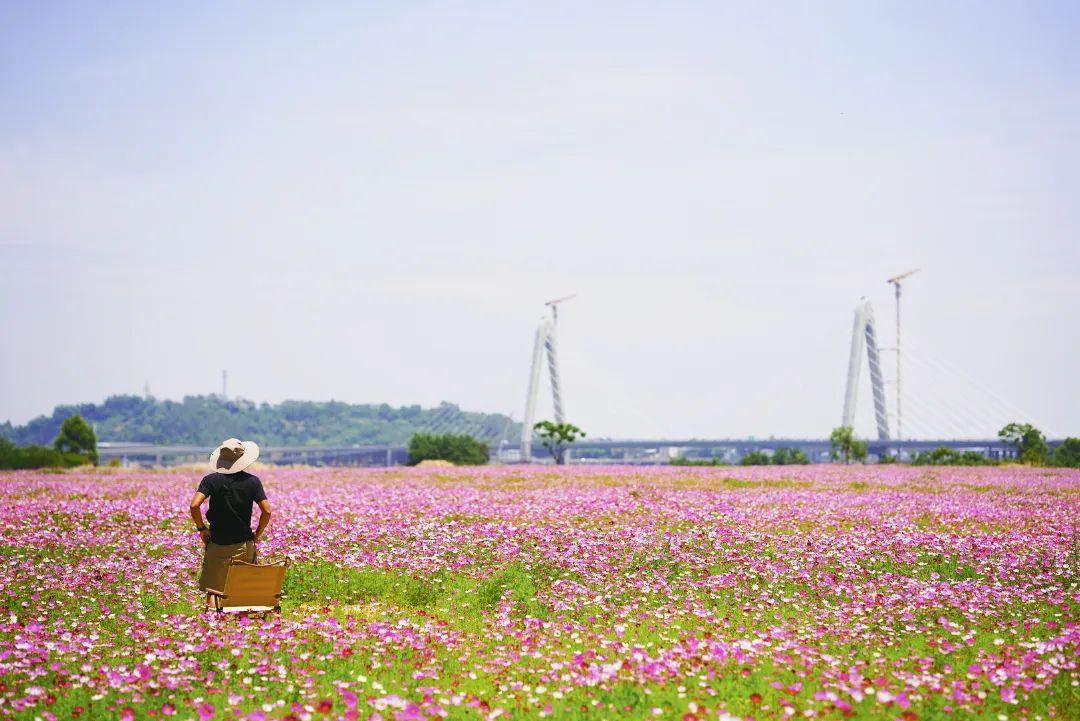 陳小北聚焦科技前沿，引領(lǐng)創(chuàng)新潮流新動態(tài)