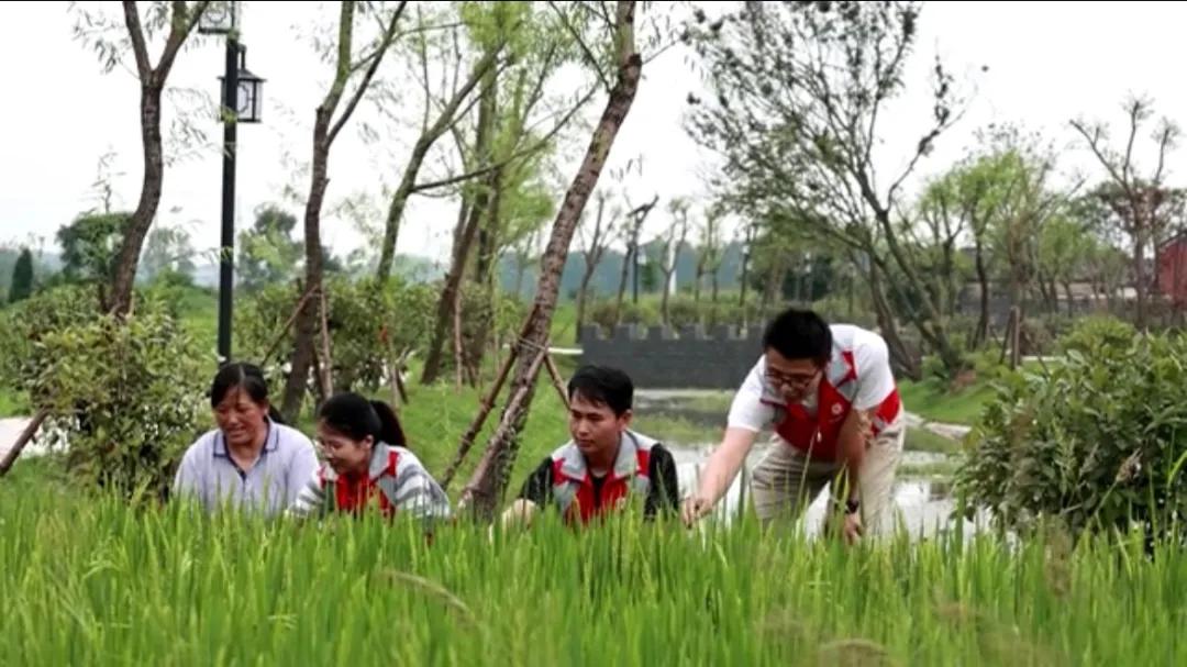 曲陽縣城最新招聘信息揭秘，小巷中的獨(dú)特小店等你來探索！